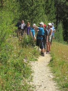Hiking Tours in Vail / Beaver Creek